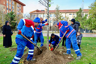 KÂĞITHANE’DE YENİ DOĞAN HER BEBEK İÇİN BİR AĞAÇ DİKİLİYOR